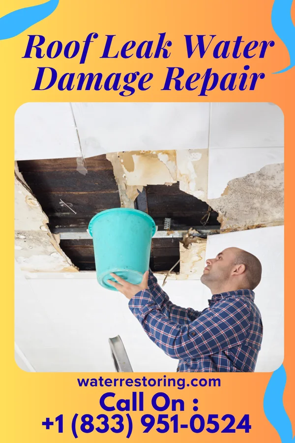 Roof Leak Water Damage Repair in Holly Pond, AL